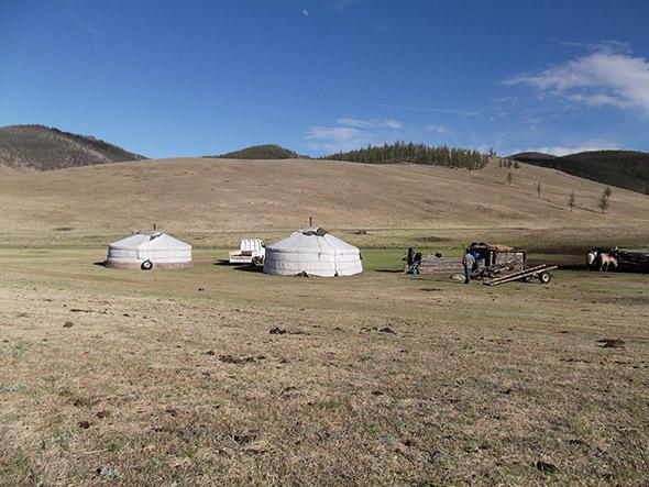 Ger camp Mongolia
