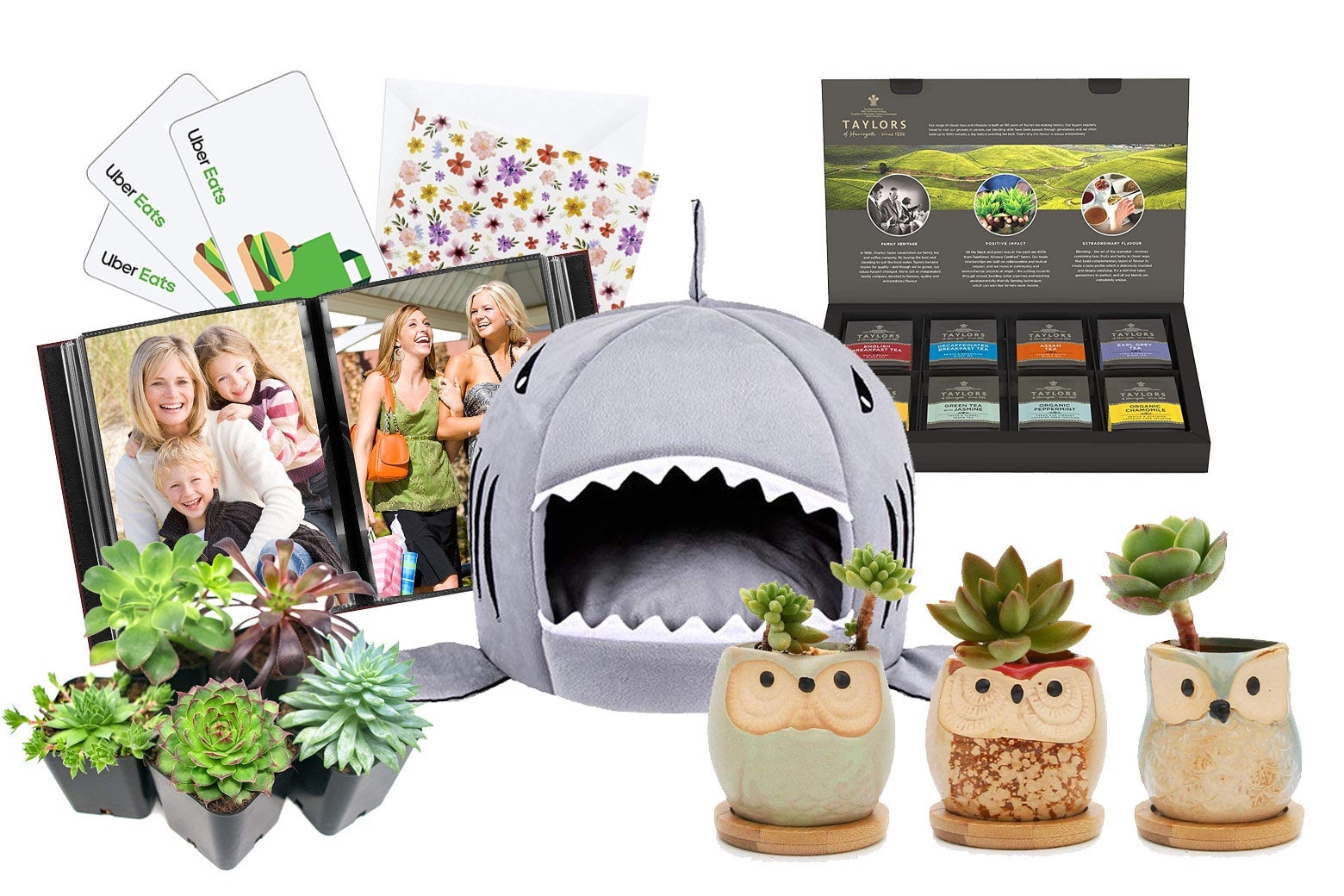 Uber Eats gift cards, greeting cards, photo album, shark cat bed, tea variety box, succulents in planters.