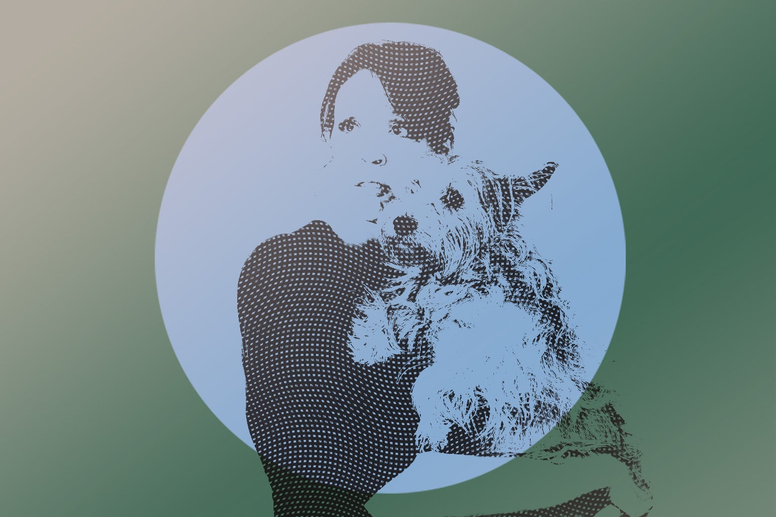 Advice for sellers How to sell a property without paying capital gains