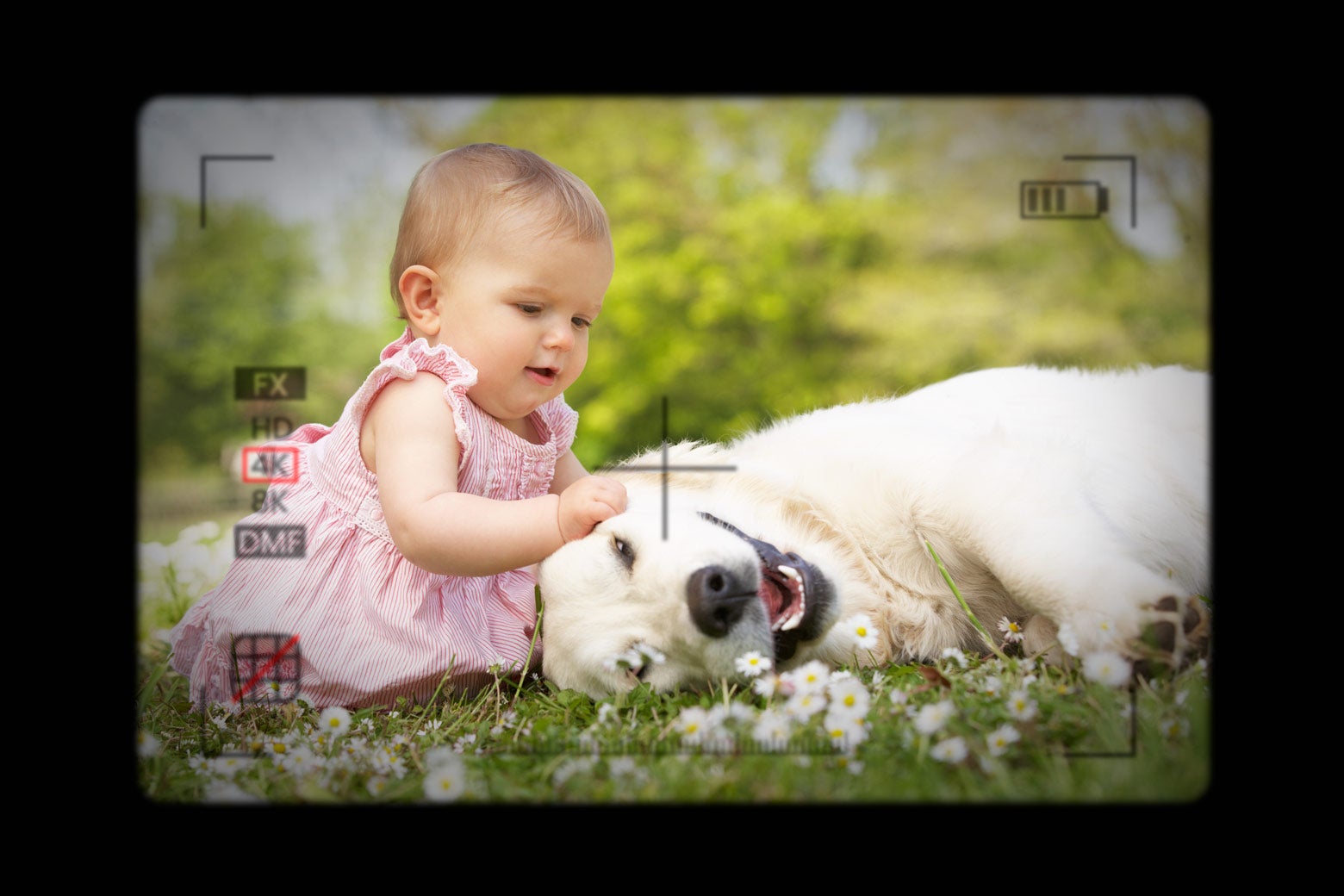 A baby with a dog, seen through a camera lens. 