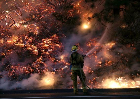 A firefighter uses a hose to douse the flames of the Rim Fire on August 24, 2013 near Groveland, California.