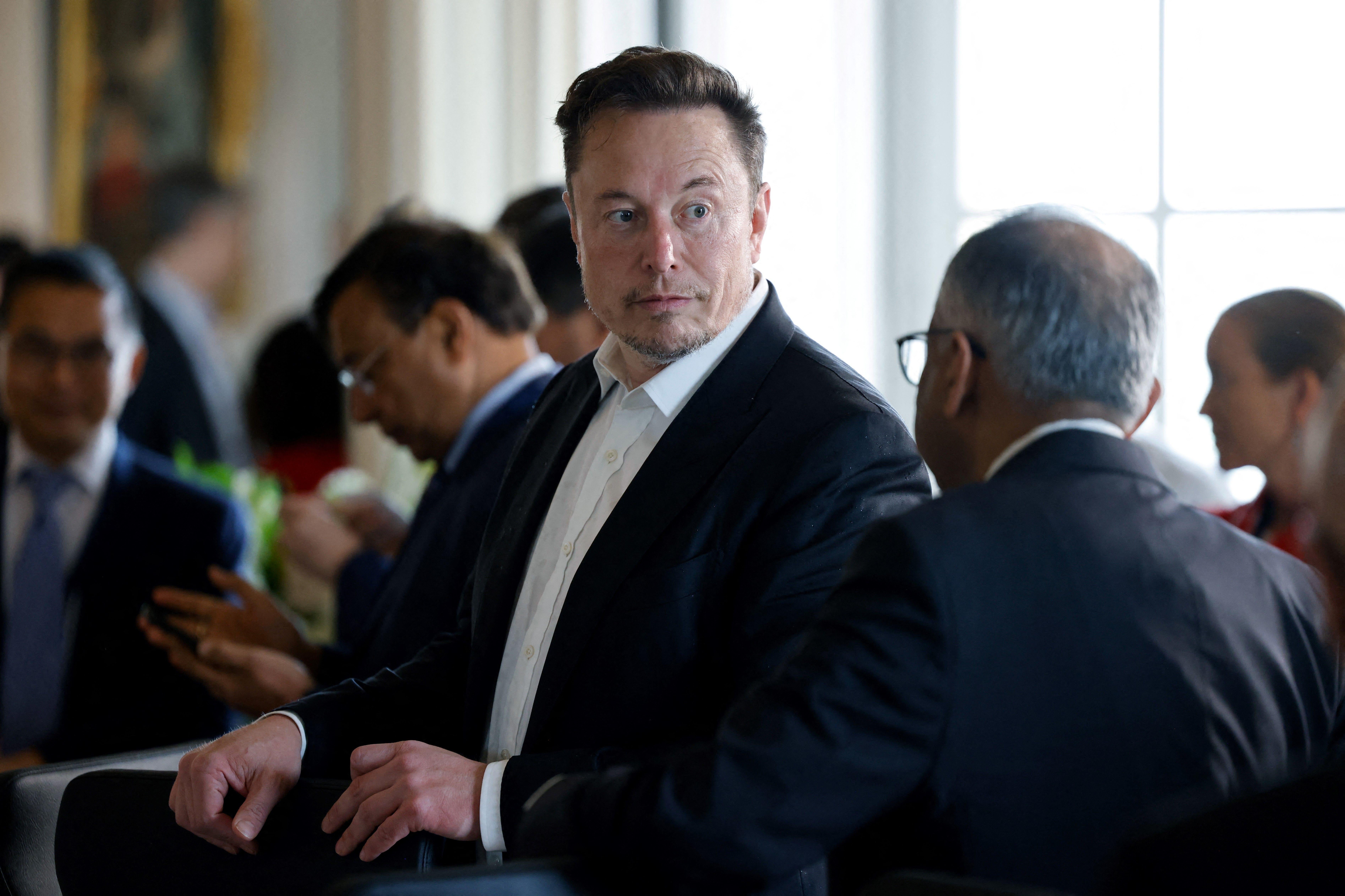 Why Elon Musk Is a DeSantis Guy Alex Kirshner