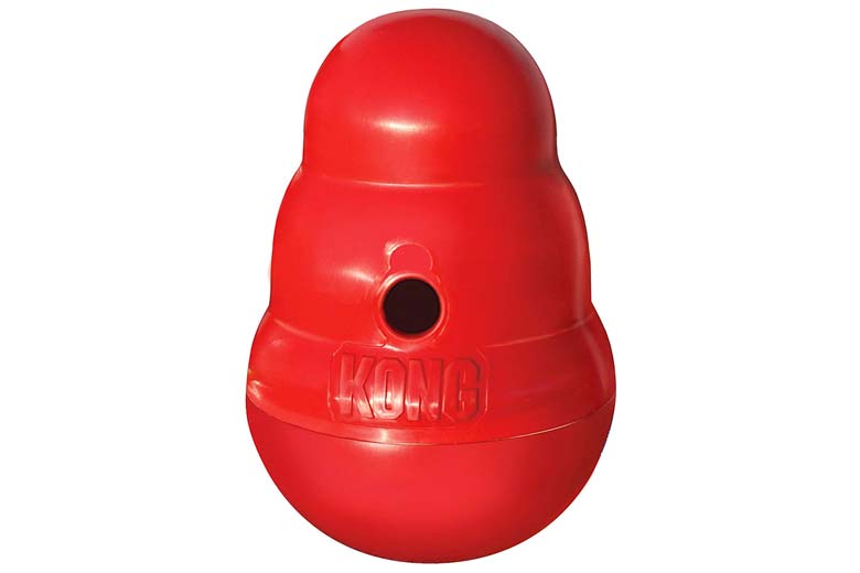 Kong Treat toy