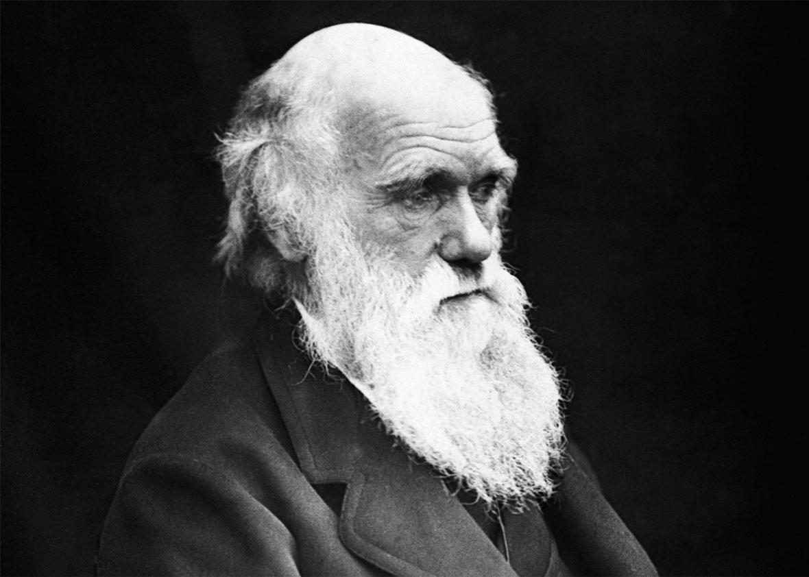 Charles Darwin evolution.