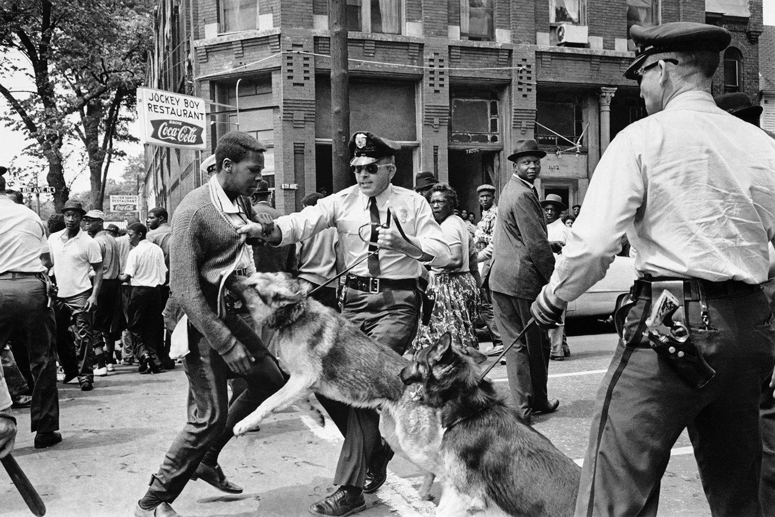 A black-and-white photo from 1963 depicts a police dog, part of a K-9 unit, attacking a Black teenager.