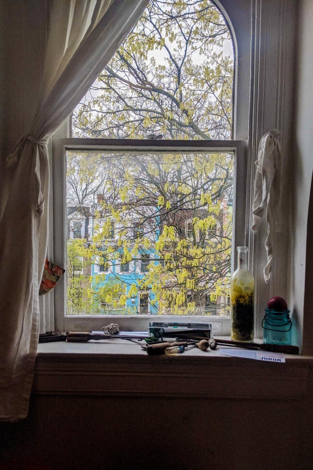A window with white curtains in a dark room looks out onto a tree.