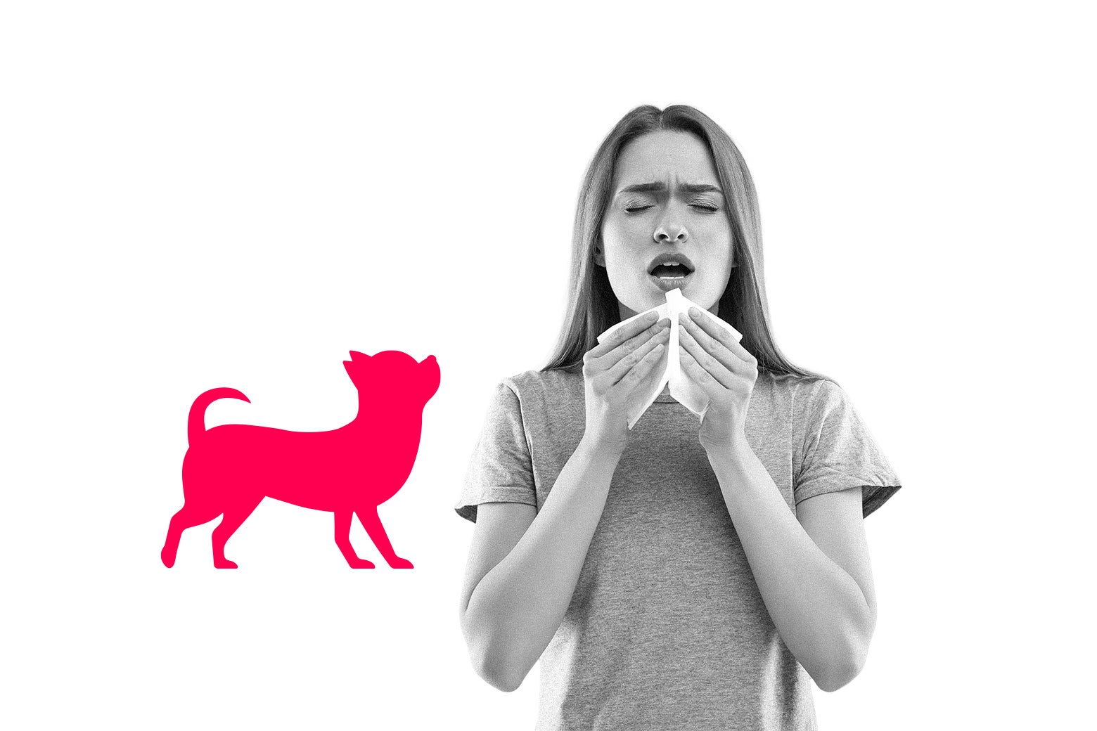 Help! My Mother-in-Law Brought a Surprise Guest With Her-And Forced Me From My Home.