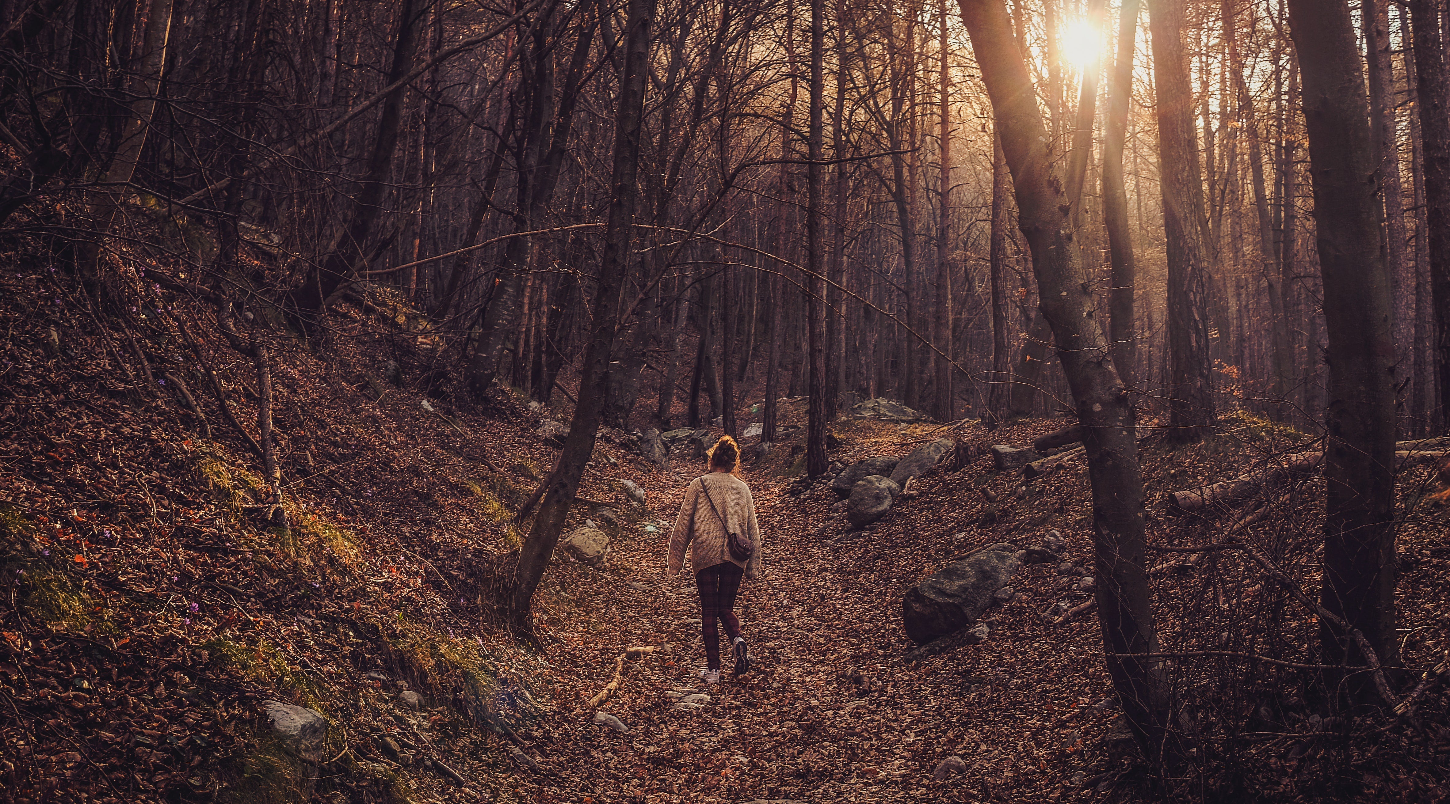 Remember to Take a Walk Today
