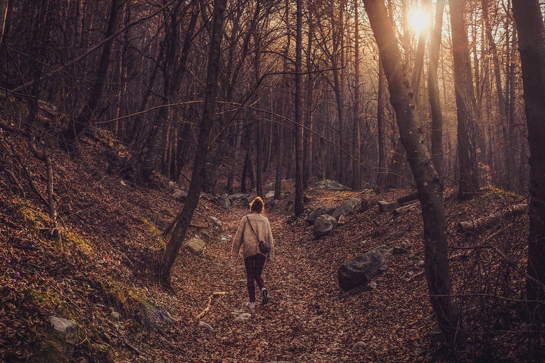 Remember to Take a Walk Today Remember to Take a Walk Today