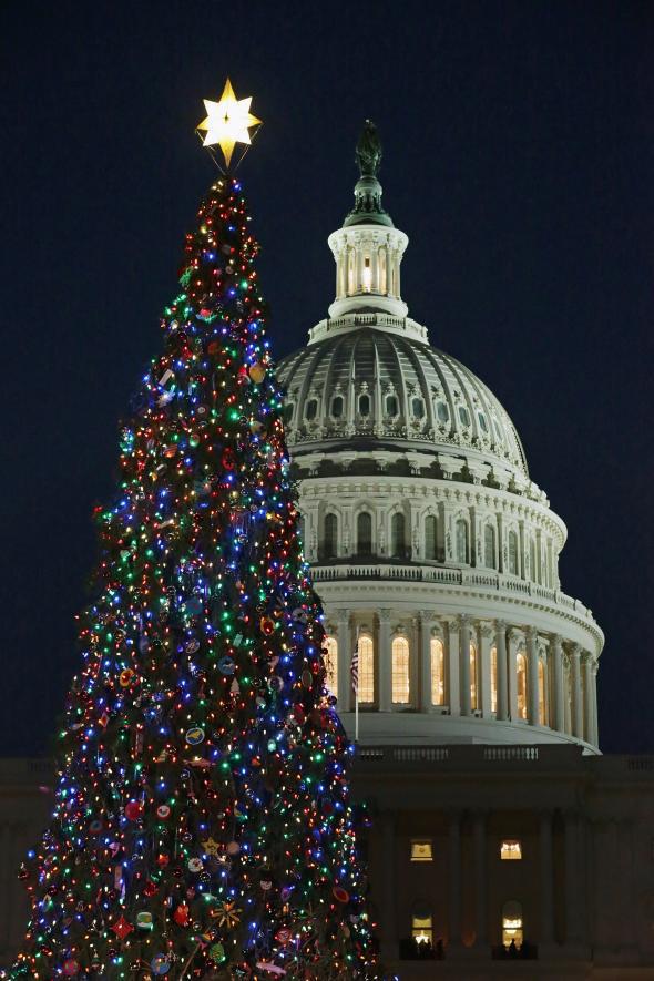 The Capitol Christmas Tree lighting ceremony took place on Tuesday evening.