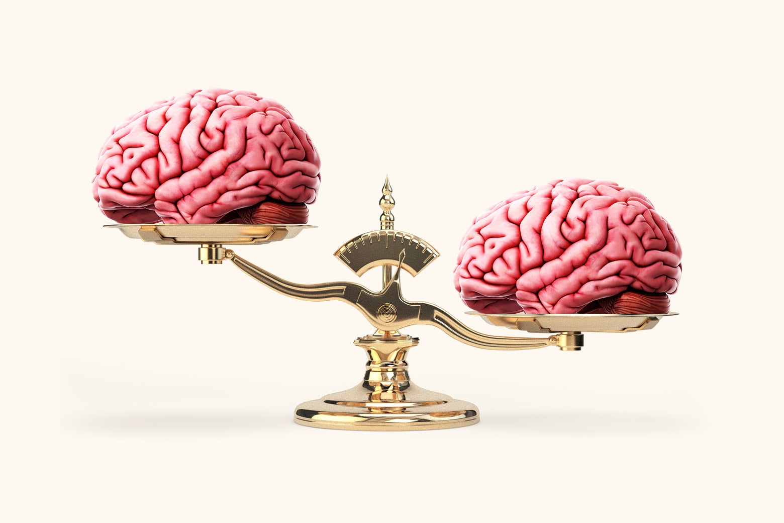 Why Has the Misleading &ldquo;Chemical Imbalance&rdquo; Theory of Mental Illness Persisted for So Long?