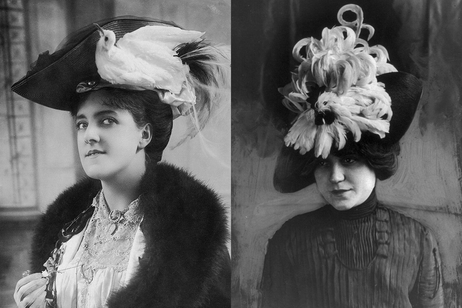 Nineteenth-century women's photographs in which the women are wearing entire white birds on their hats.