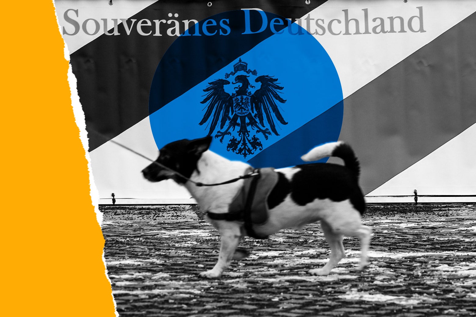 Germany Cribs From the QAnon Playbook