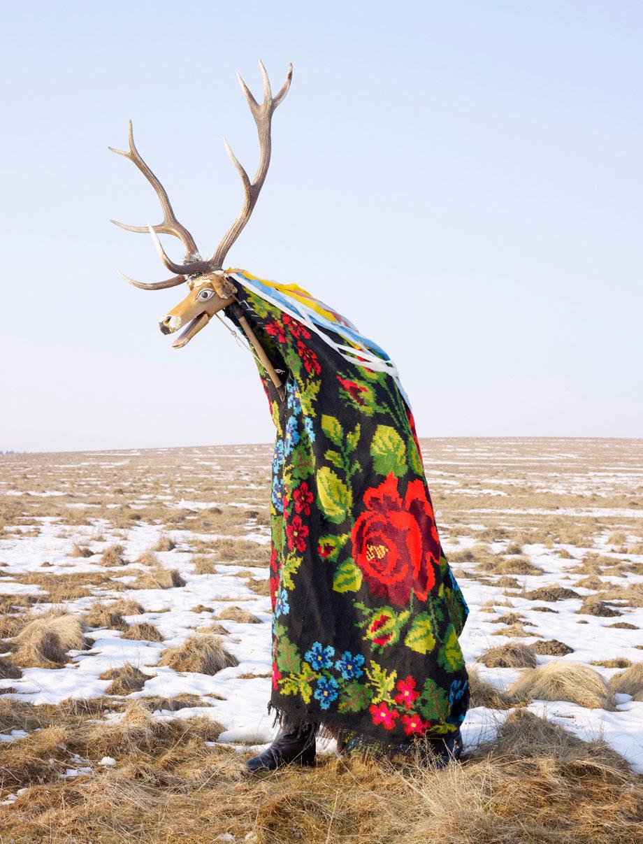 Cerbul (Stag), Corlata, Romania, 2010-2011