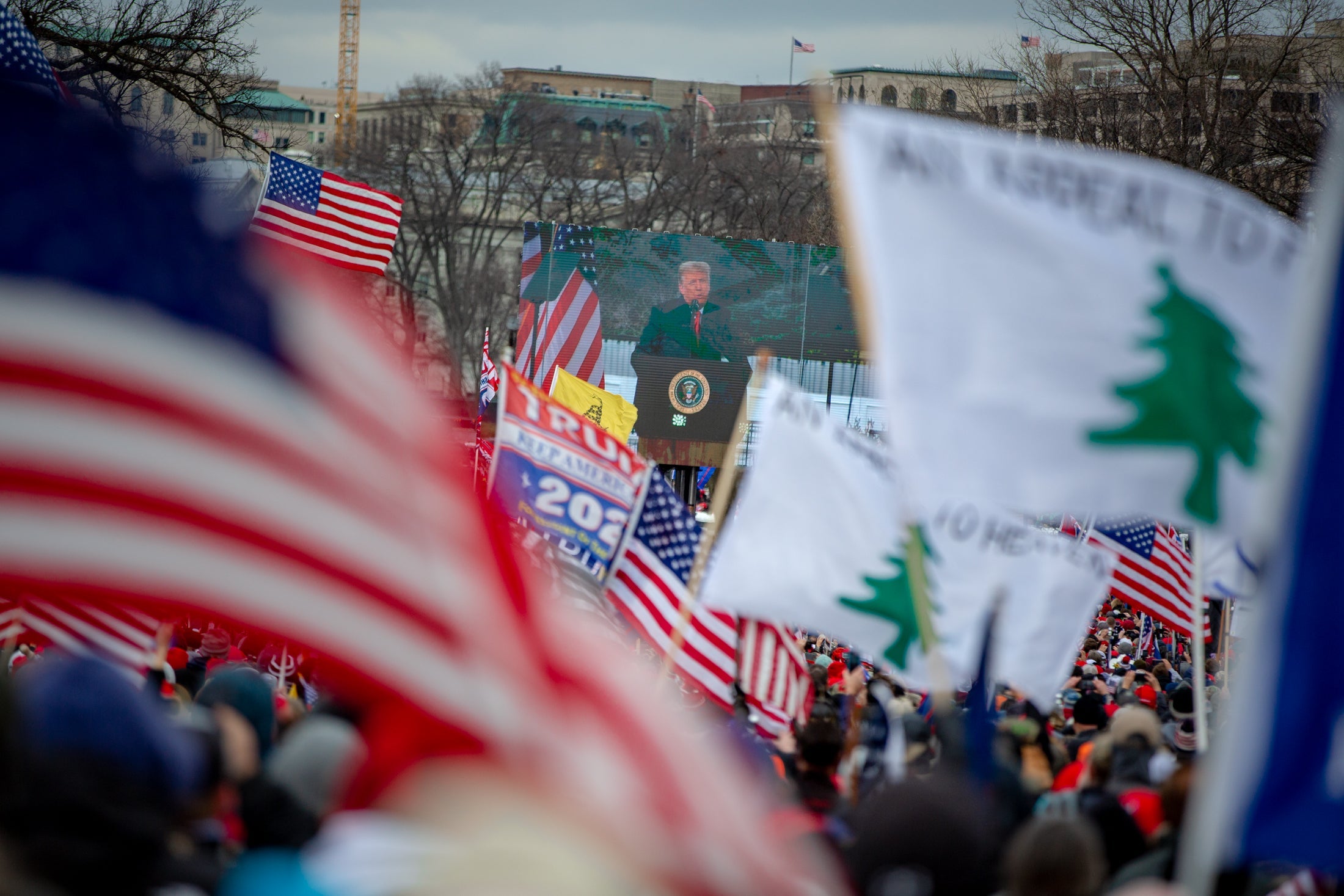 Trump speaking at the Save America March.
