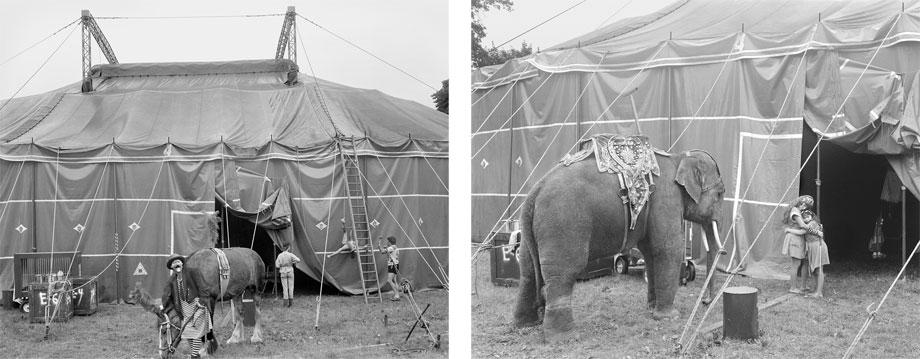 Left: Clown with Horse. Right: Elephant with Mother and Daughter.
