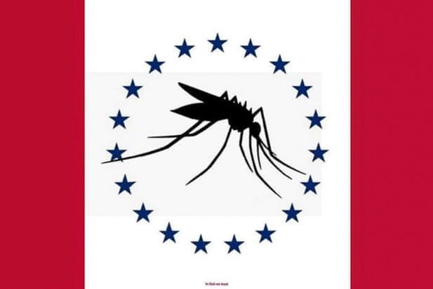 A photo of the proposed red and white mosquito flag featuring a mosquito inside a circle of stars.