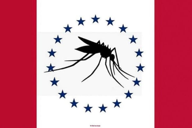 Mississippi Says Including Giant Mosquito State Flag Redesign Was a Mistake