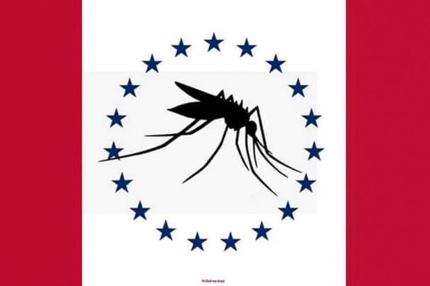 A photo of the proposed red and white mosquito flag featuring a mosquito inside a circle of stars.