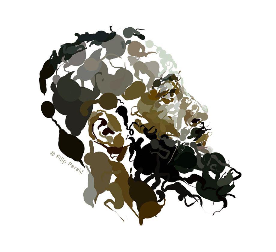 News — James Harden Illustrated