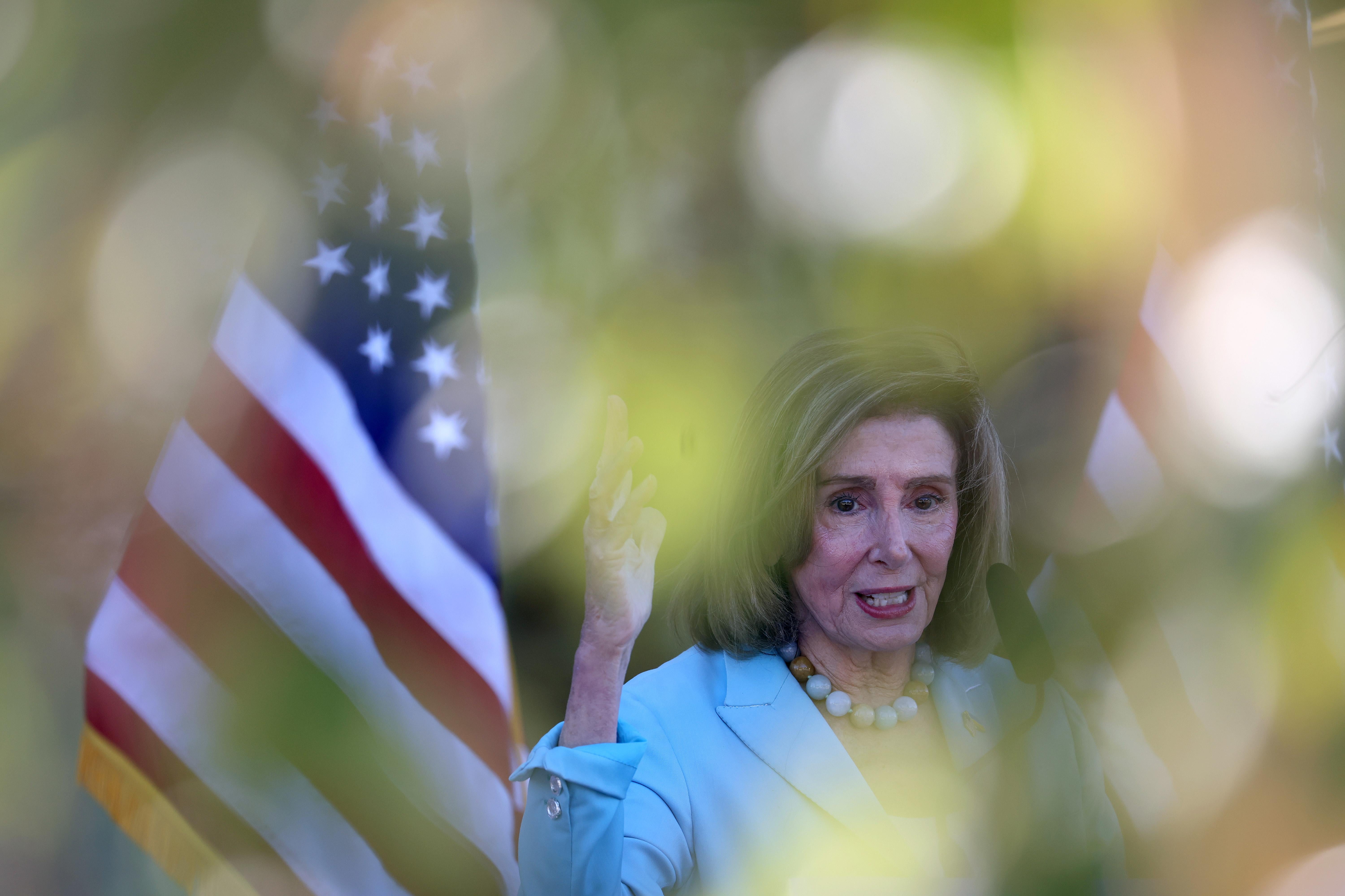 Nancy Pelosi waves in front of a flag, as seen through out-of-focus leafs.