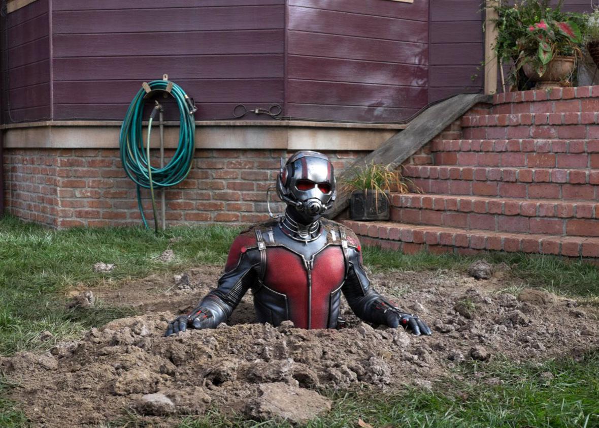 Paul Rudd in Ant-Man.