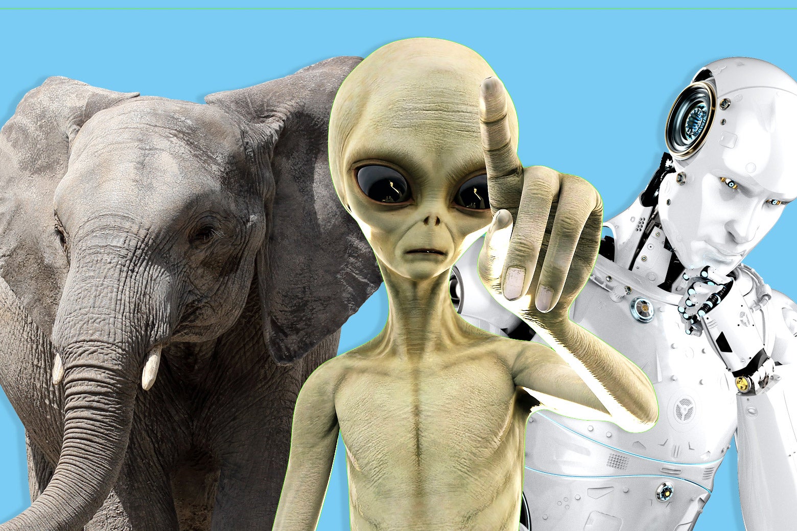 An elephant, an alien, and a robot.