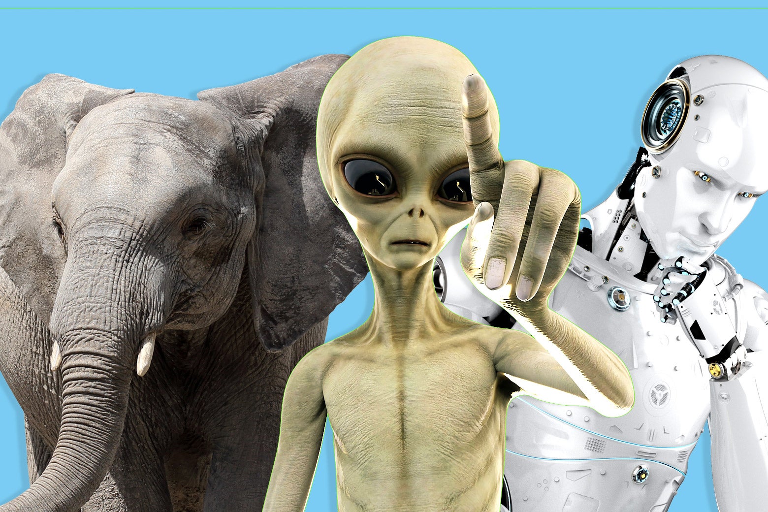Jewish law is uniquely capable of helping us think through personhood for aliens, animals, and A.I. - Vimarsana News