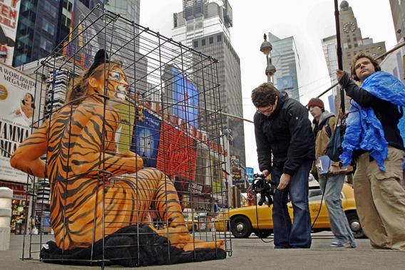 Amy Jannette, her nearly-nude body painted like a tiger, is videotaped as she sits in a cage March, 9 2006, in New York's Times Square as part of a PETA protest against the use of exotic animals by the Ringling Bros. and Barnum & Bailey Circus.