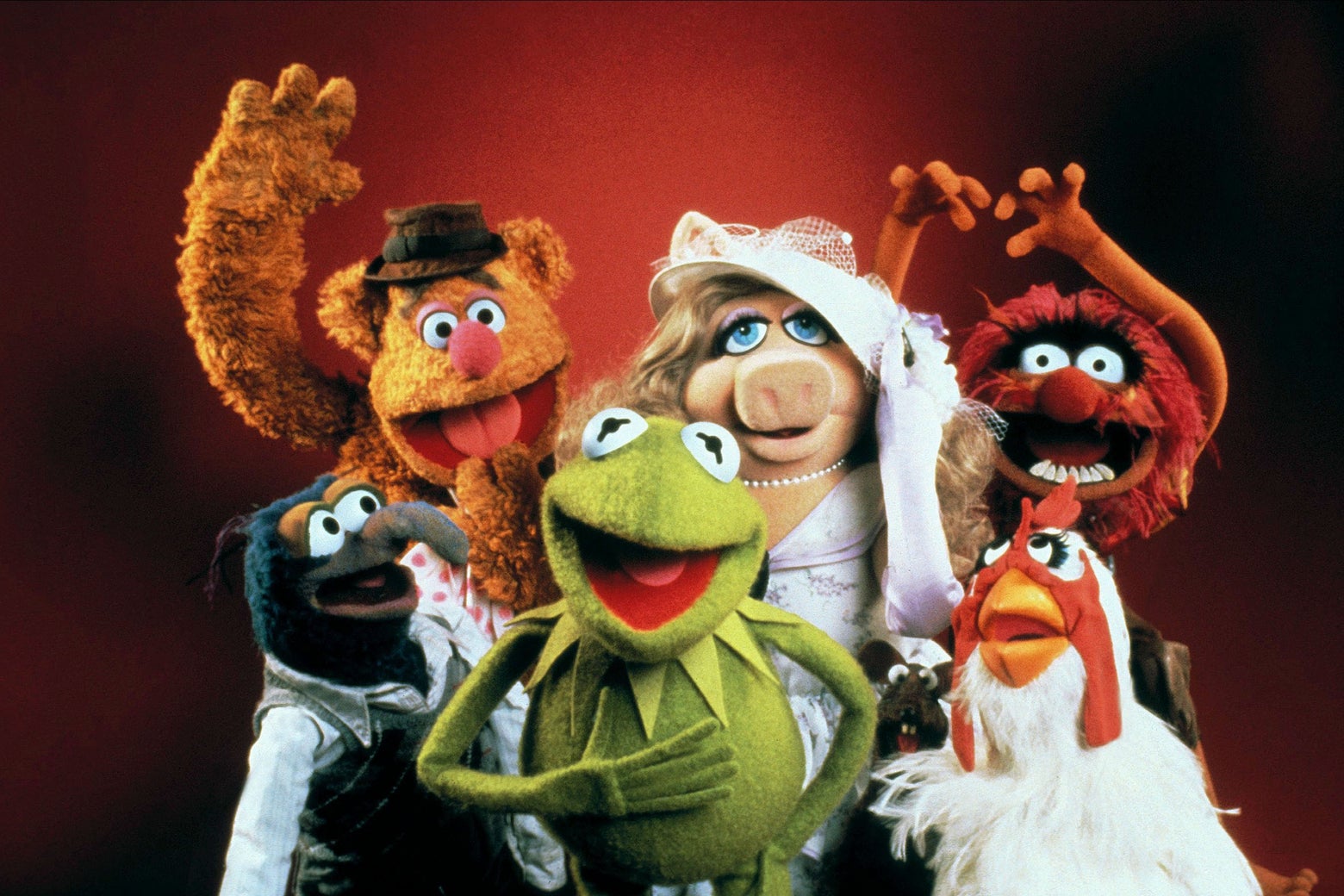 the muppets characters