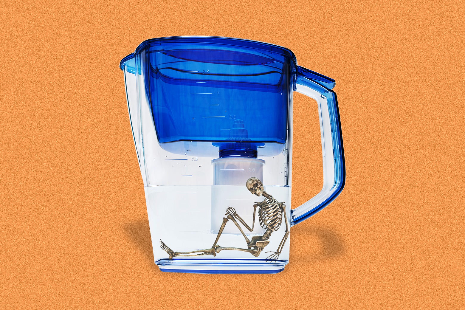 A skeleton seated and relaxed at the bottom of a Brita-style pitcher.