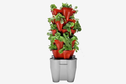 Mr. Stacky Smart Farm.
