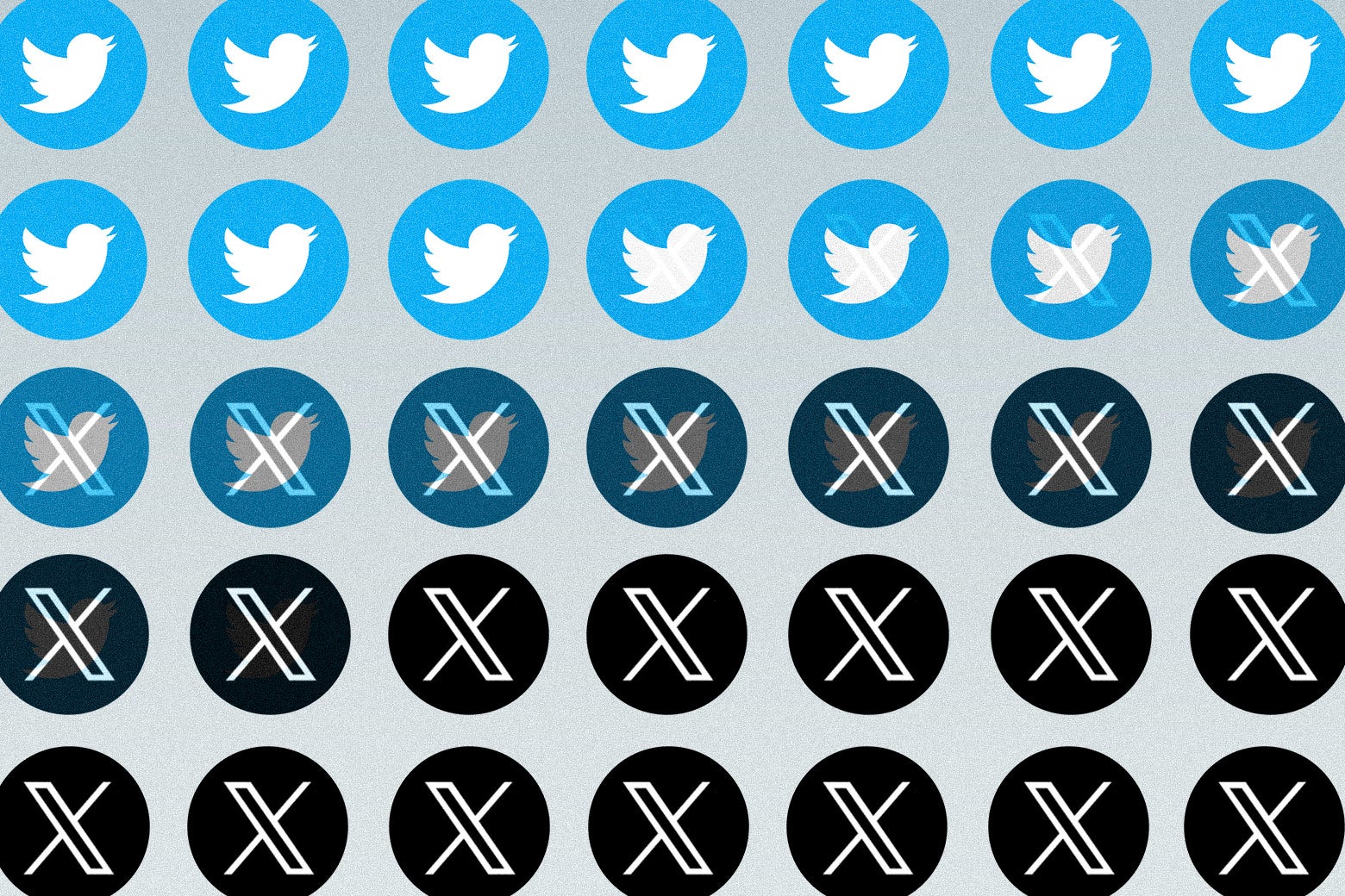 Five rows of circular logos that show the Twitter bird eventually transforming into the X brand.