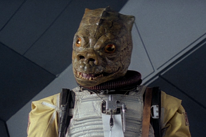 A lizard-headed man.