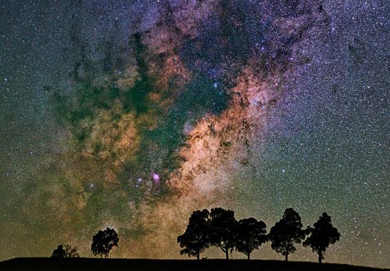Milky Way behind trees