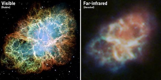 The Crab Nebula in visible and far infrared light
