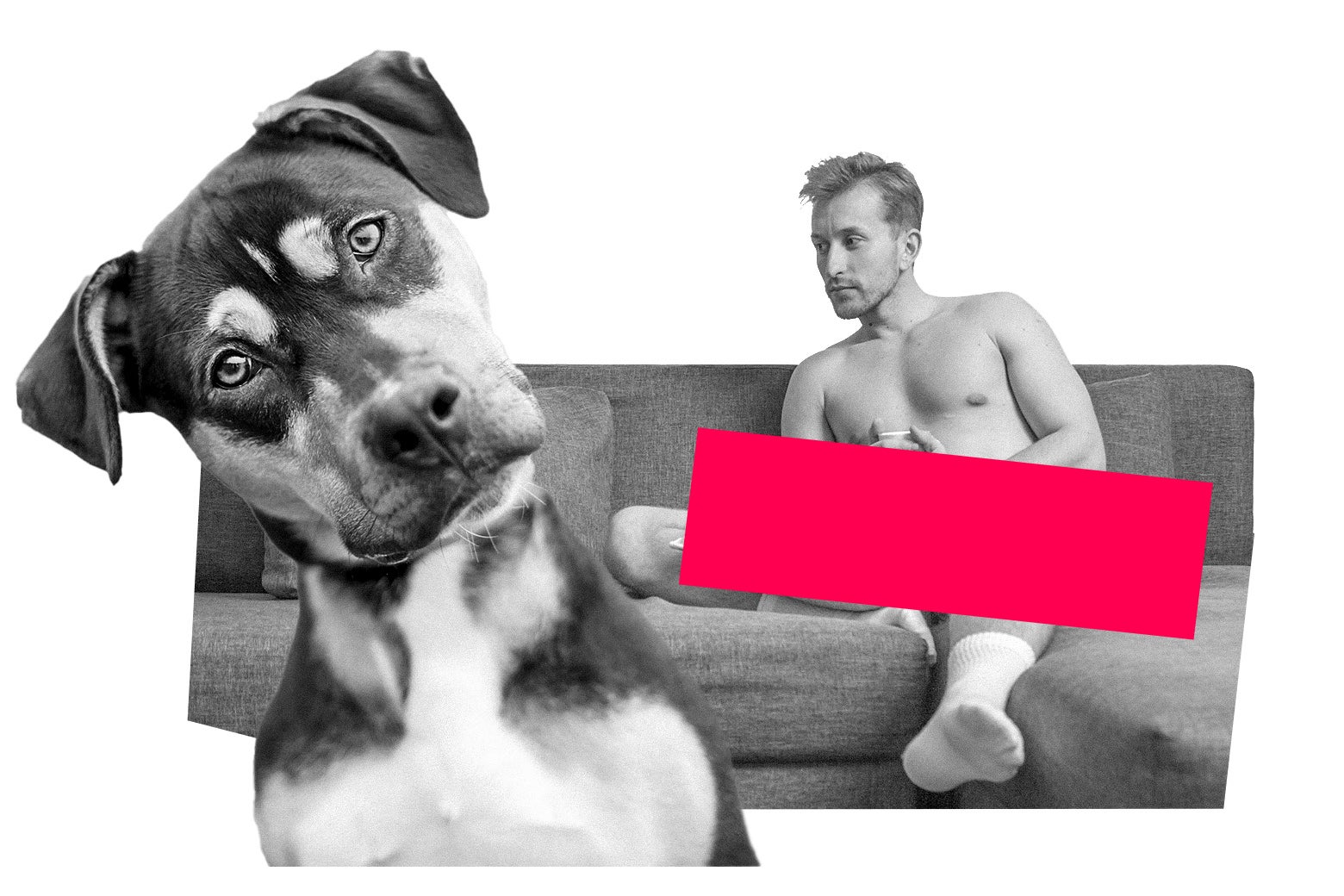 Help! My Friend Volunteered to Dog-Sit for Months. I’m Horrified by What I Caught Him Doing on My Secret Camera.