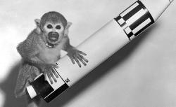 Squirrel monkey "Baker" rode a Jupiter IRBM into space and back in 1959.