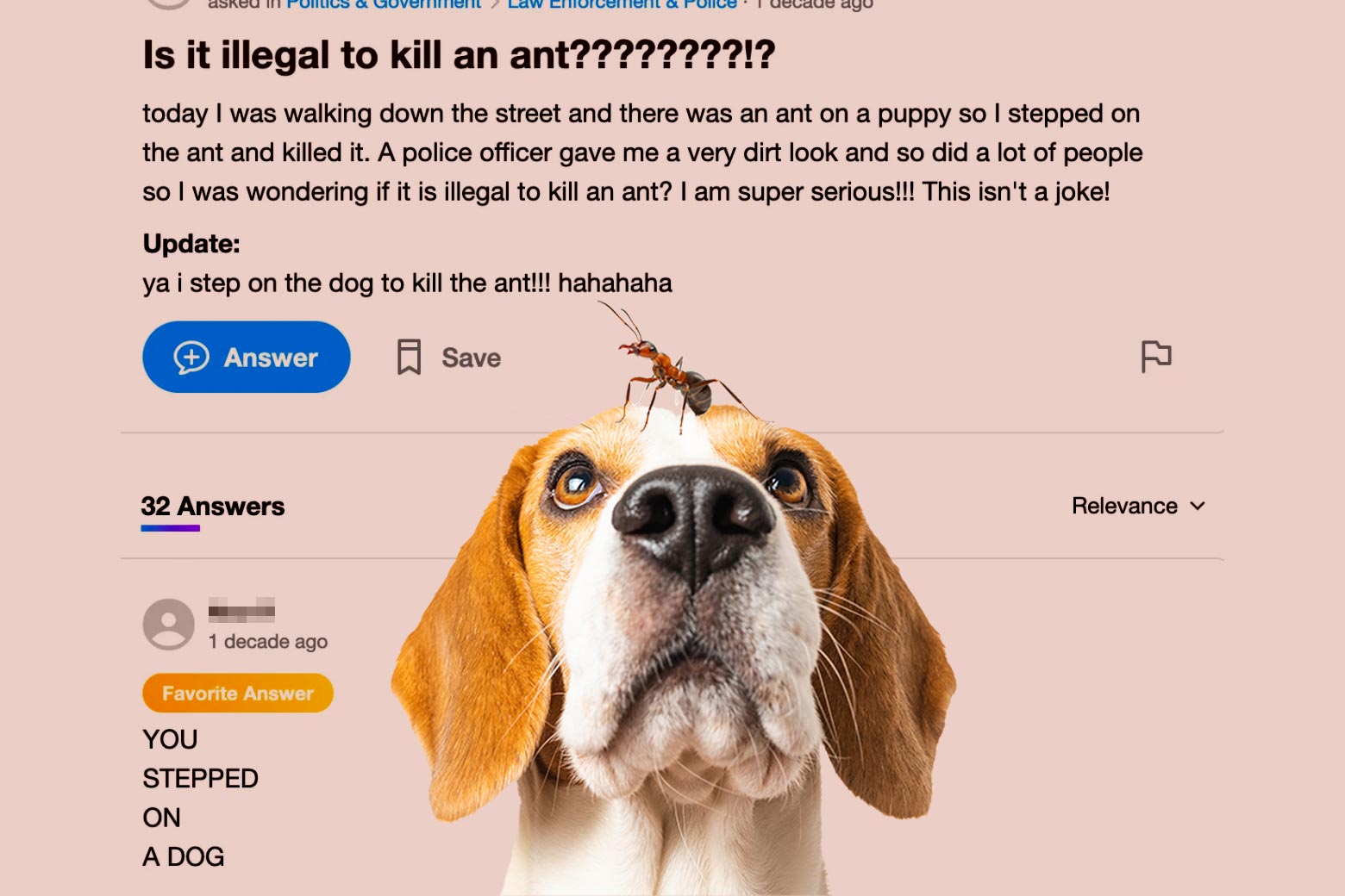 An ant is seen on a dog against a background of a Yahoo Answers Q&A about ants and dogs.
