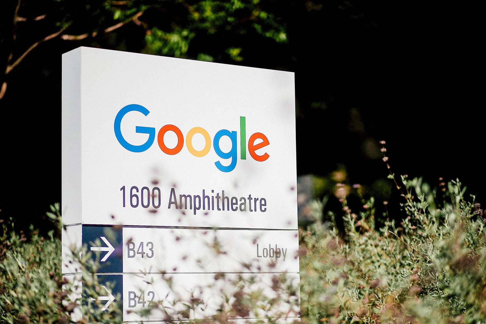 Google logo is displayed on a sign.