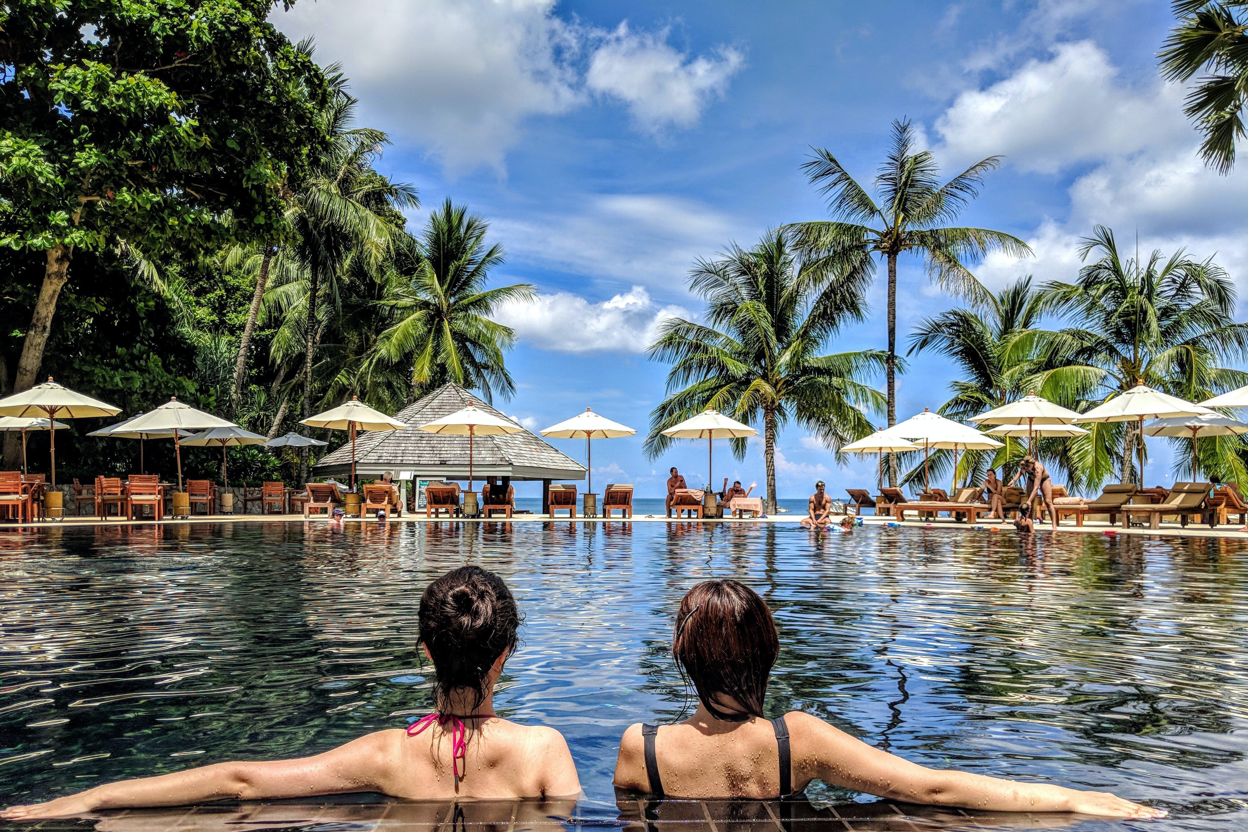 Two women in a pool with palm trees.
