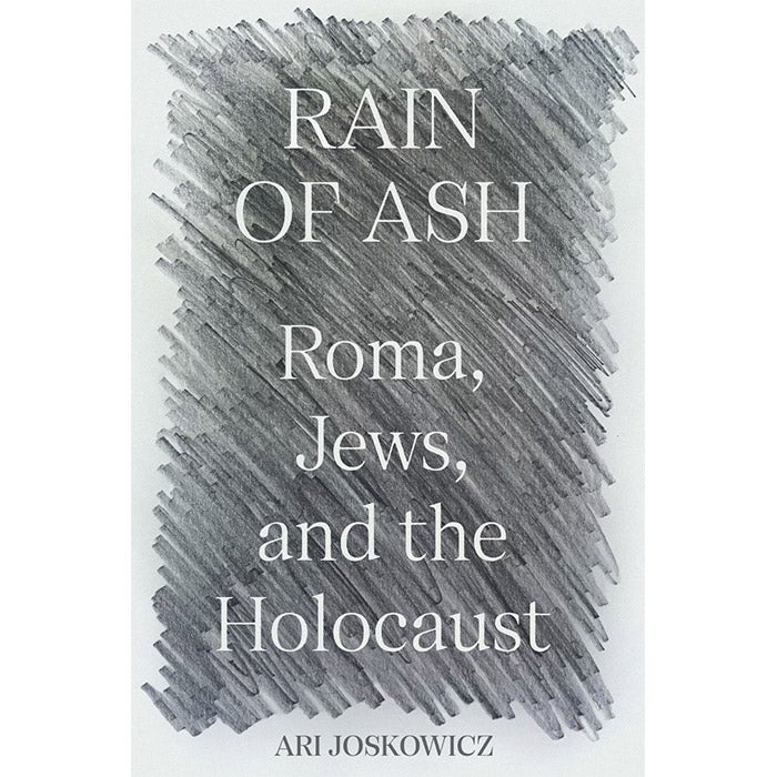 The cover of Rain of Ash.