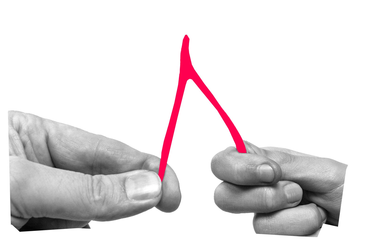 We're sorry. This image does not have any alternative text.