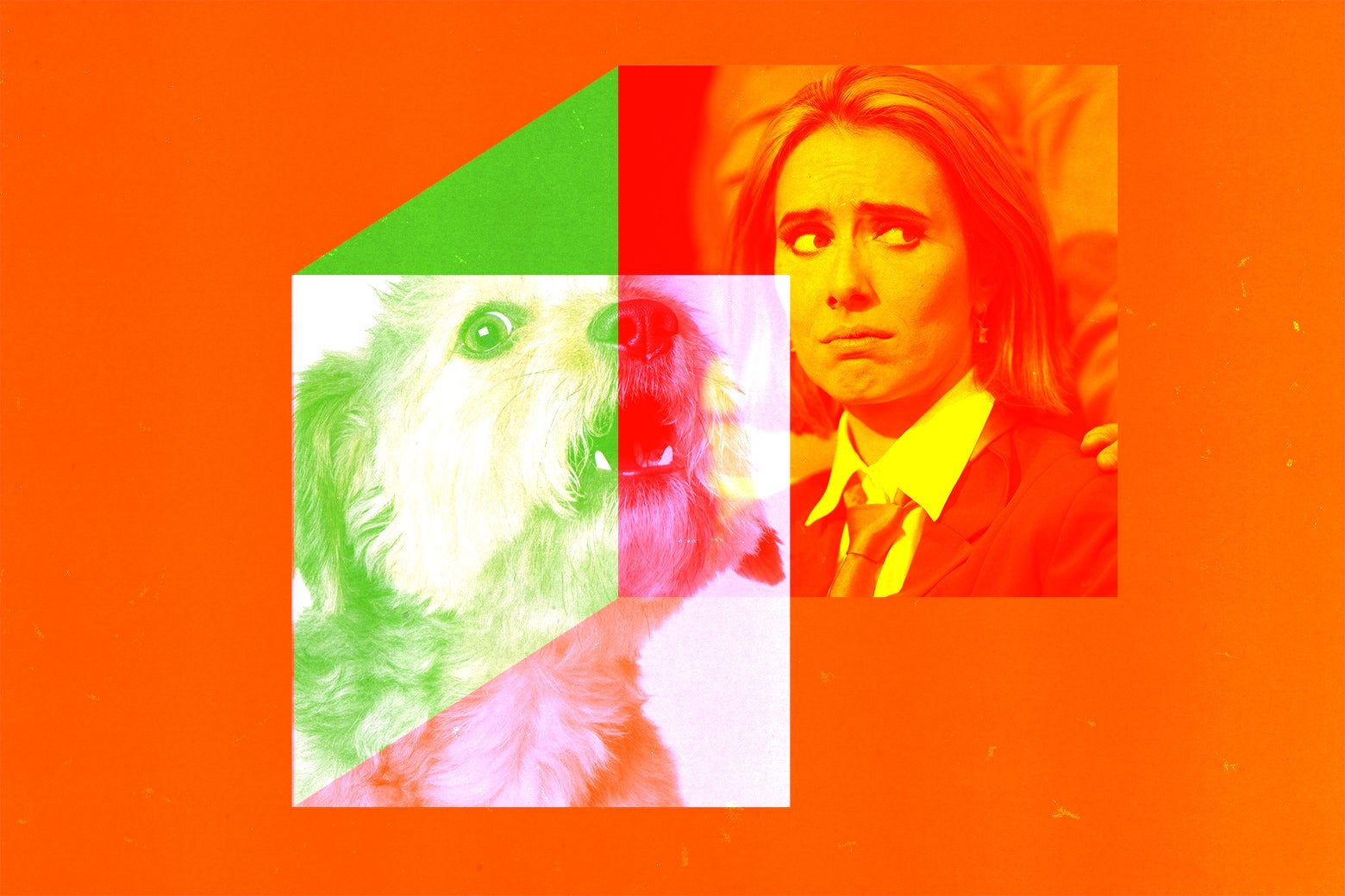 My Coworker's Emotional Support Animal Is Causing Me Emotional Distress!