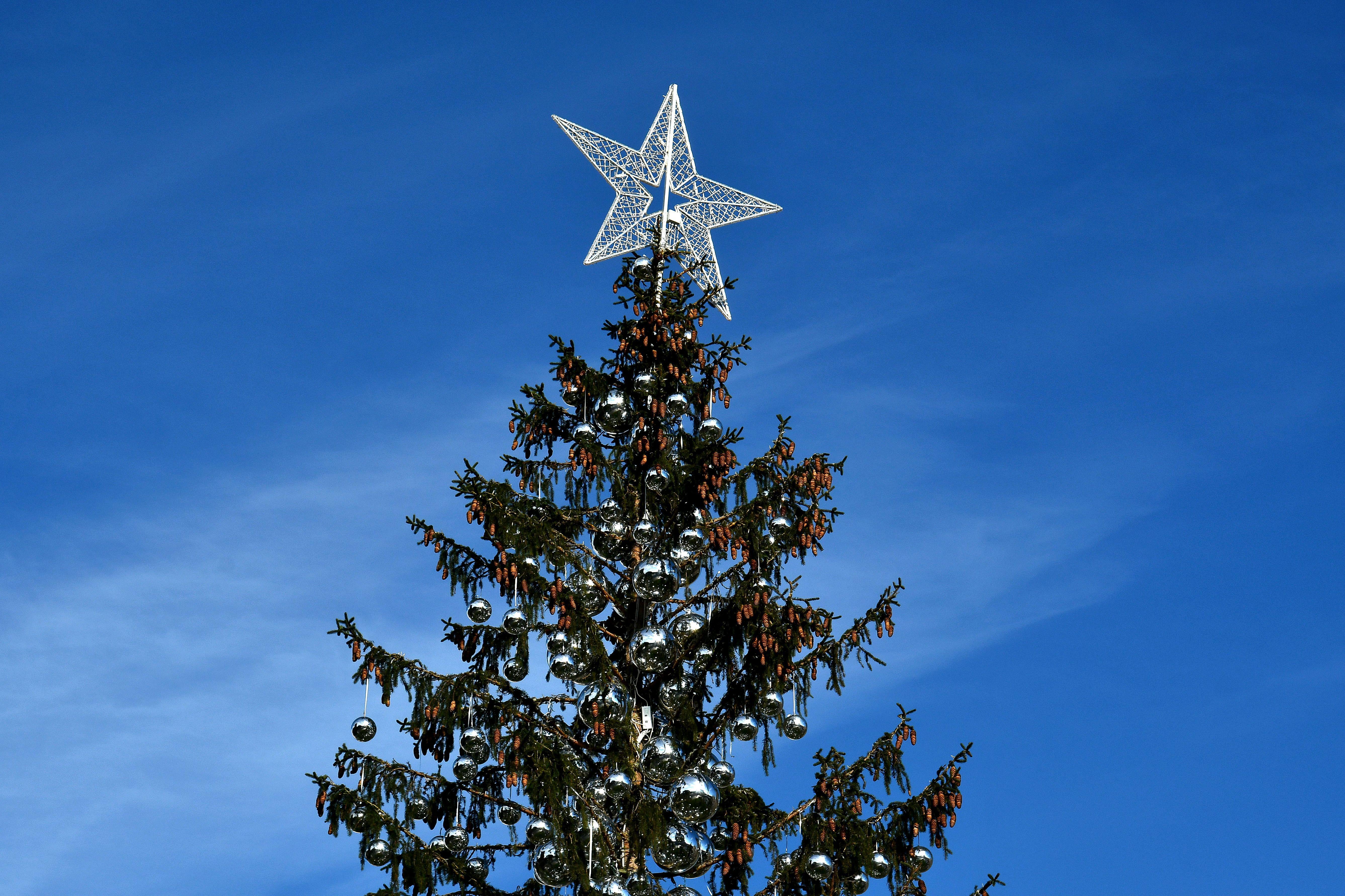 A picture shows the controversial Christmas tree at Piazza Venezia in Rome, on December 19, 2017. For the second year in a row the Christmas tree has backfired on the city's mayor Virginia Raggi of the anti-establishment Five Star mouvement (M5S). This year the tree was a gift from Val di Fiemme in the Trentino region of northern Italy but unfortunetly the municipality admited the tree has dried before Christmas day. / AFP PHOTO / Alberto PIZZOLI        (Photo credit should read ALBERTO PIZZOLI/AFP/Getty Images)