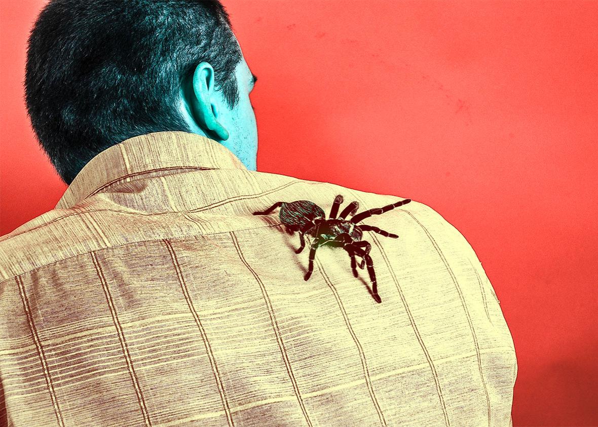 prosecutor afraid of spiders