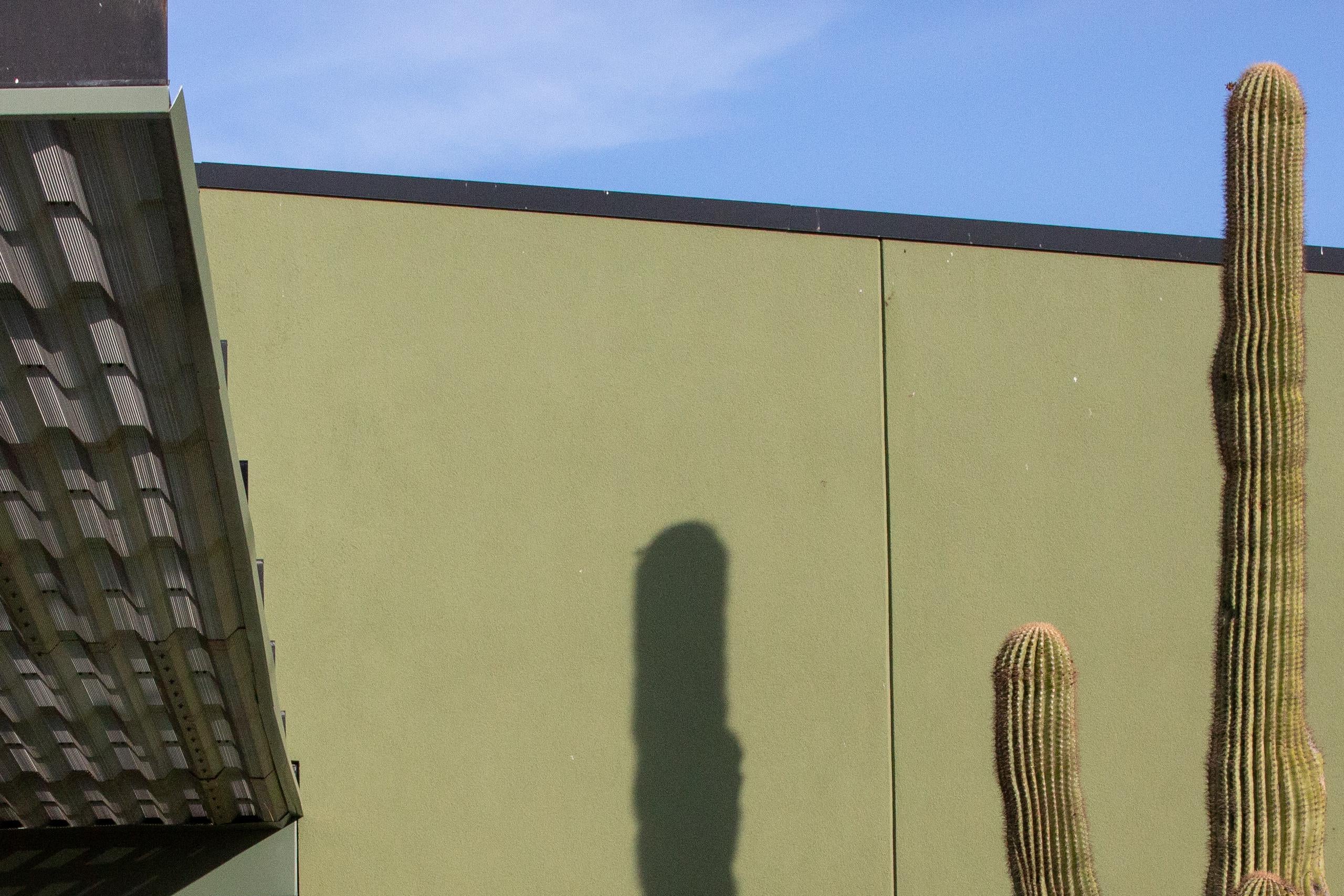 A man walks into a polling center with the shadow of a cactus visible on the wall of the building.
