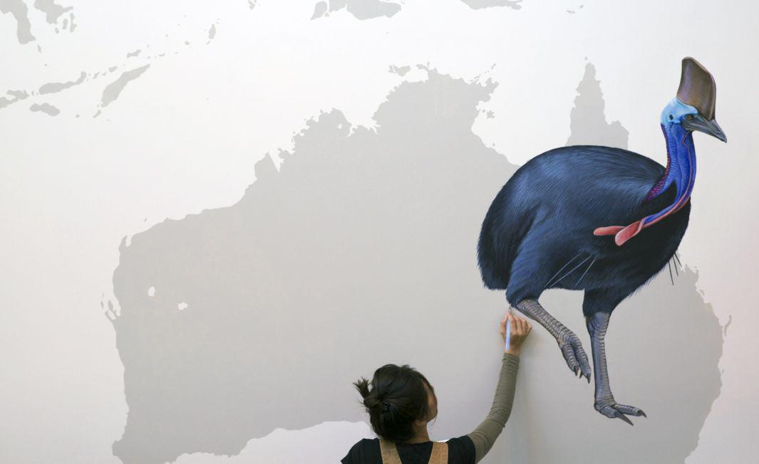 01_Cassowary + Jane