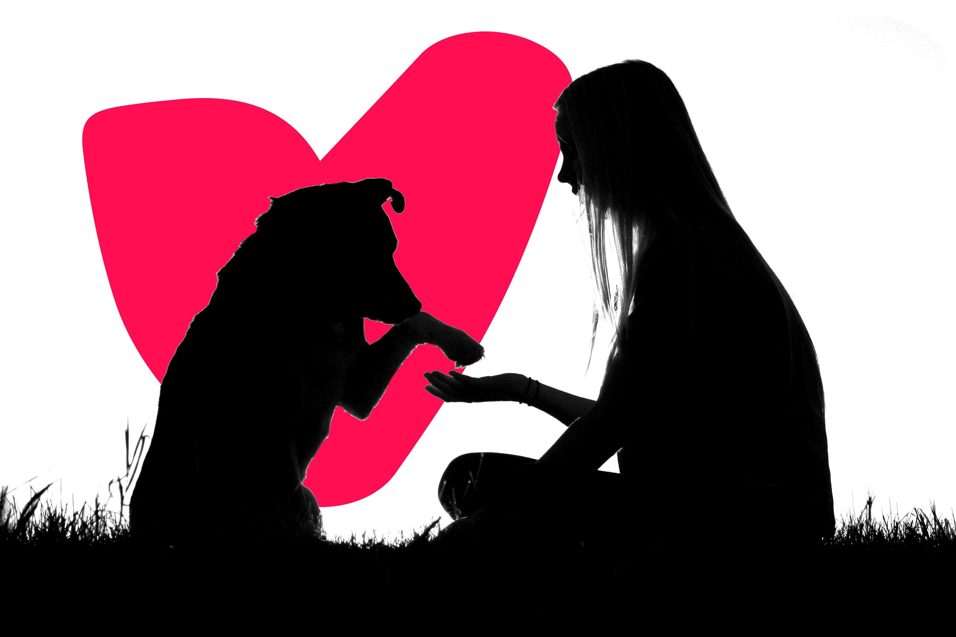 The silhouette of a dog offering his paw to a woman in a field.