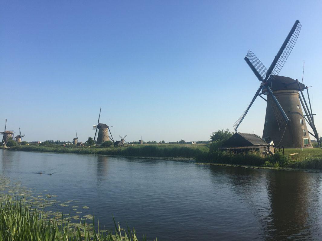 Kinderdijk3